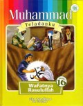 Muhammad Teladanku : Wafatnya Rasulullah (16)